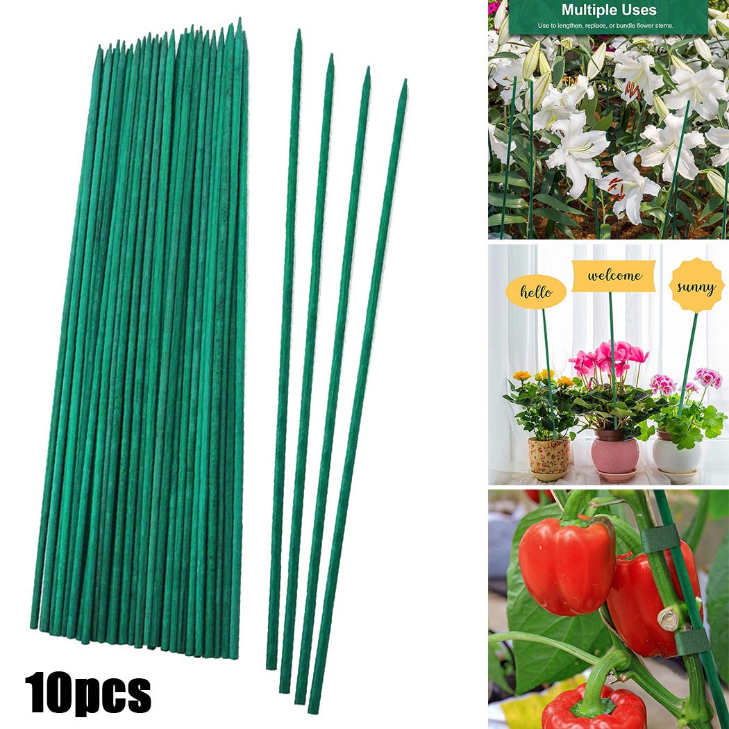 10Pcs 40ซม.พืชสีเขียวสนับสนุน  - Plant Support Stake บทวิจารณ์และราคา