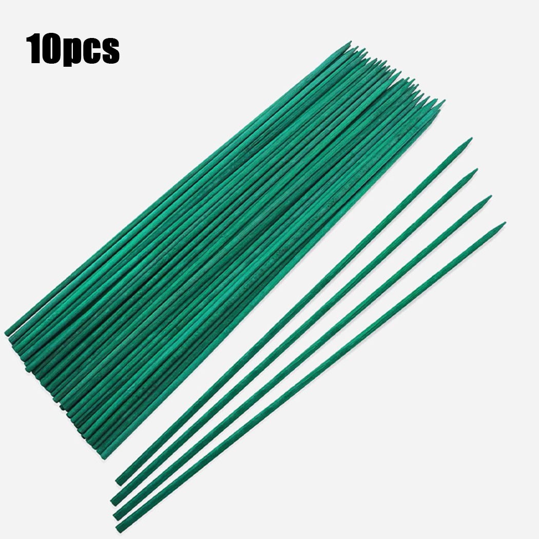 10Pcs 40ซม.พืชสีเขียวสนับสนุน  - Plant Support Stake บทวิจารณ์และราคา