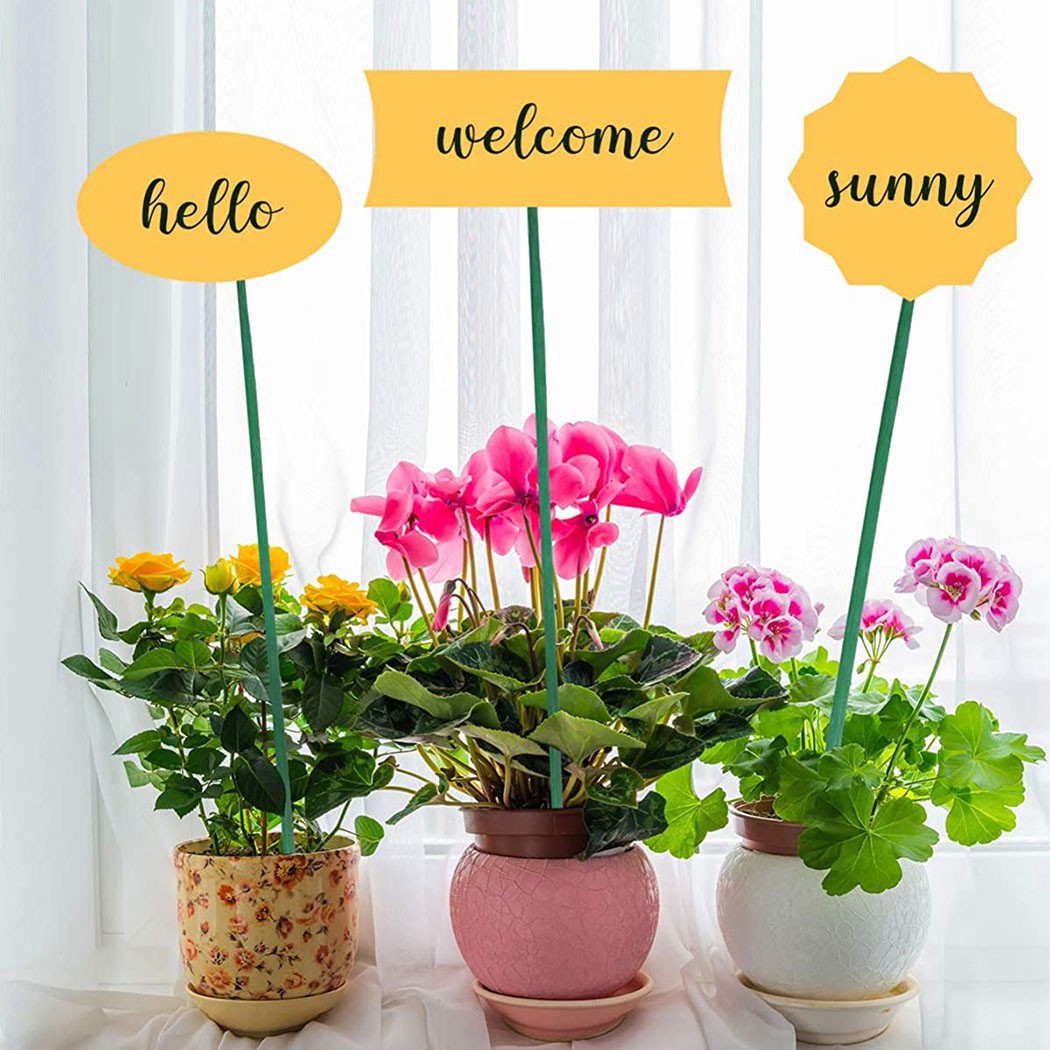10Pcs 40ซม.พืชสีเขียวสนับสนุน  - Plant Support Stake บทวิจารณ์และราคา