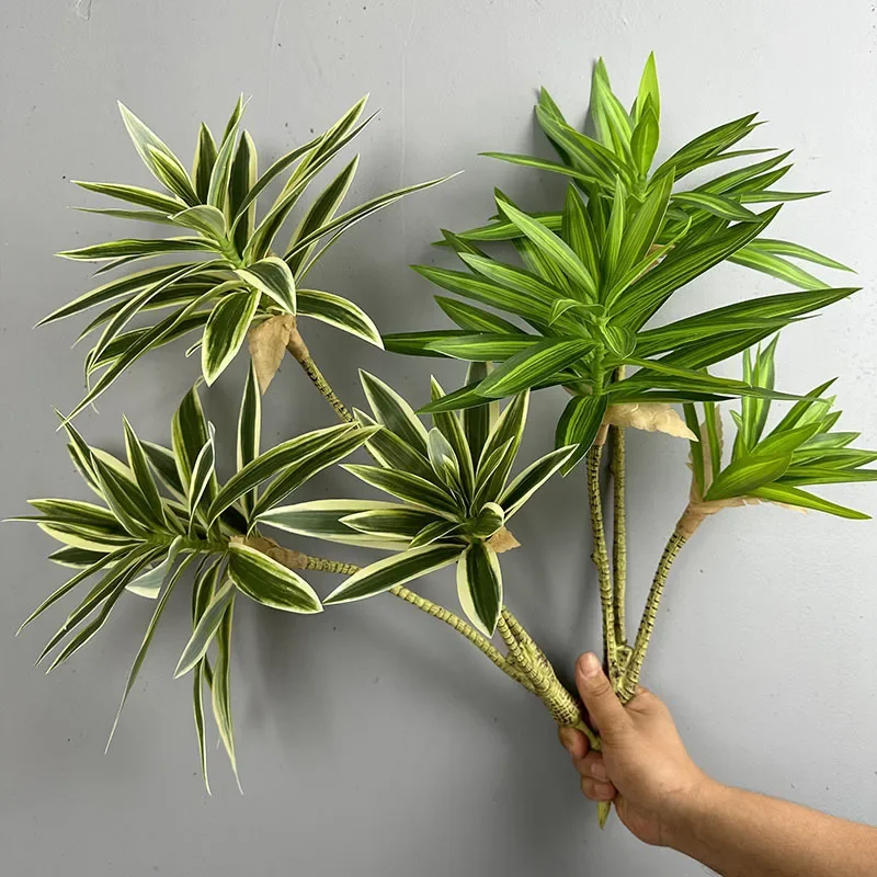 พืชสีเขียวประดิษฐ์ Tropical Li - Snake Plant บทวิจารณ์และราคา
