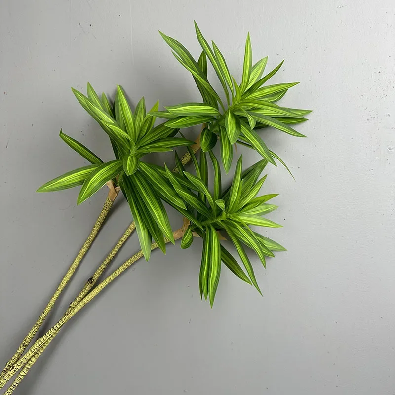 พืชสีเขียวประดิษฐ์ Tropical Li - Snake Plant บทวิจารณ์และราคา
