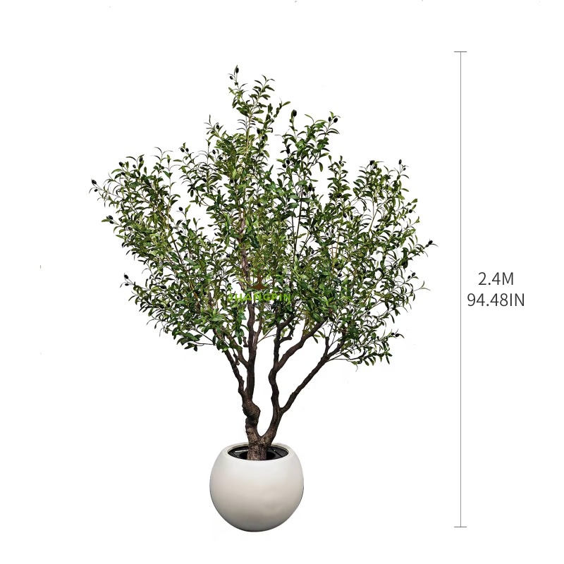 ต้นมะกอกเทียมในกระถางพลาสติก ข - Indoor Plants บทวิจารณ์และราคา