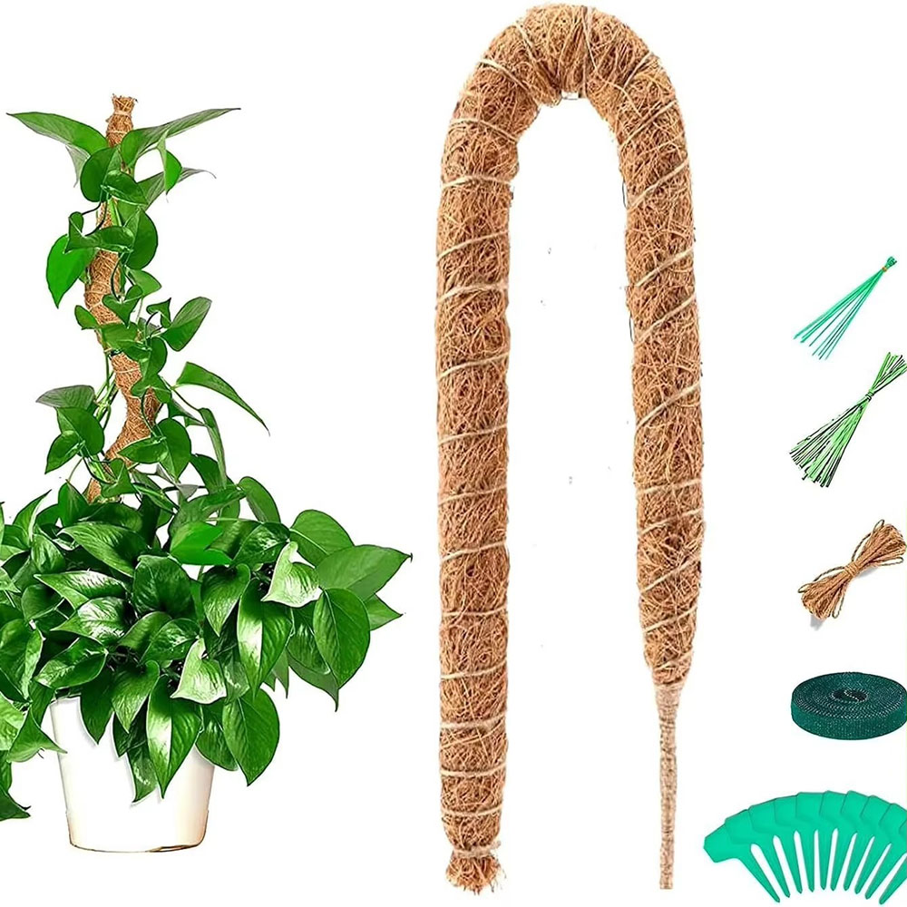 ไม้ค้ำยันต้นมะพร้าวสำหรับปลูกใ - Pothos บทวิจารณ์และราคา